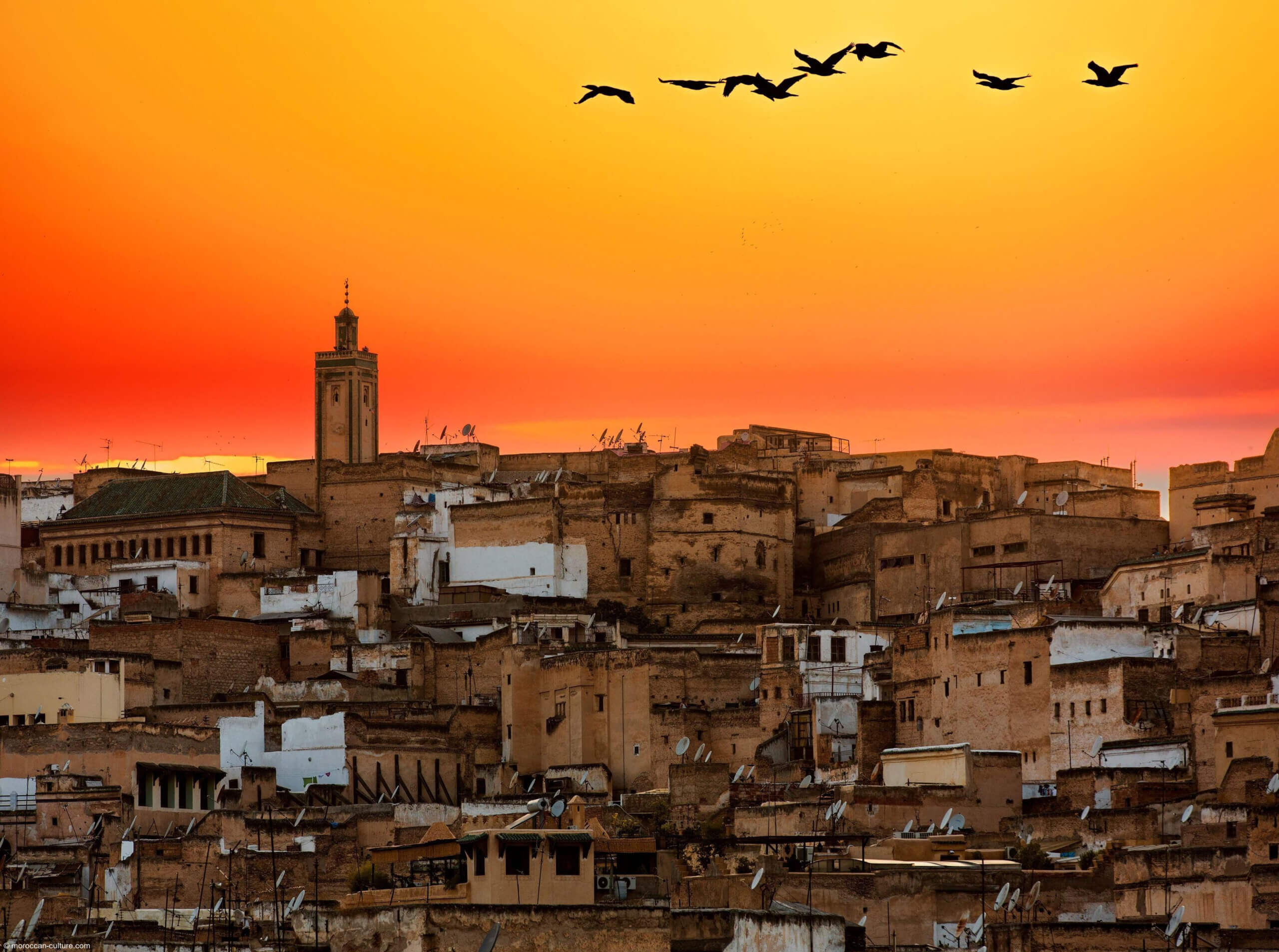 Fes medina travel guide top things to do