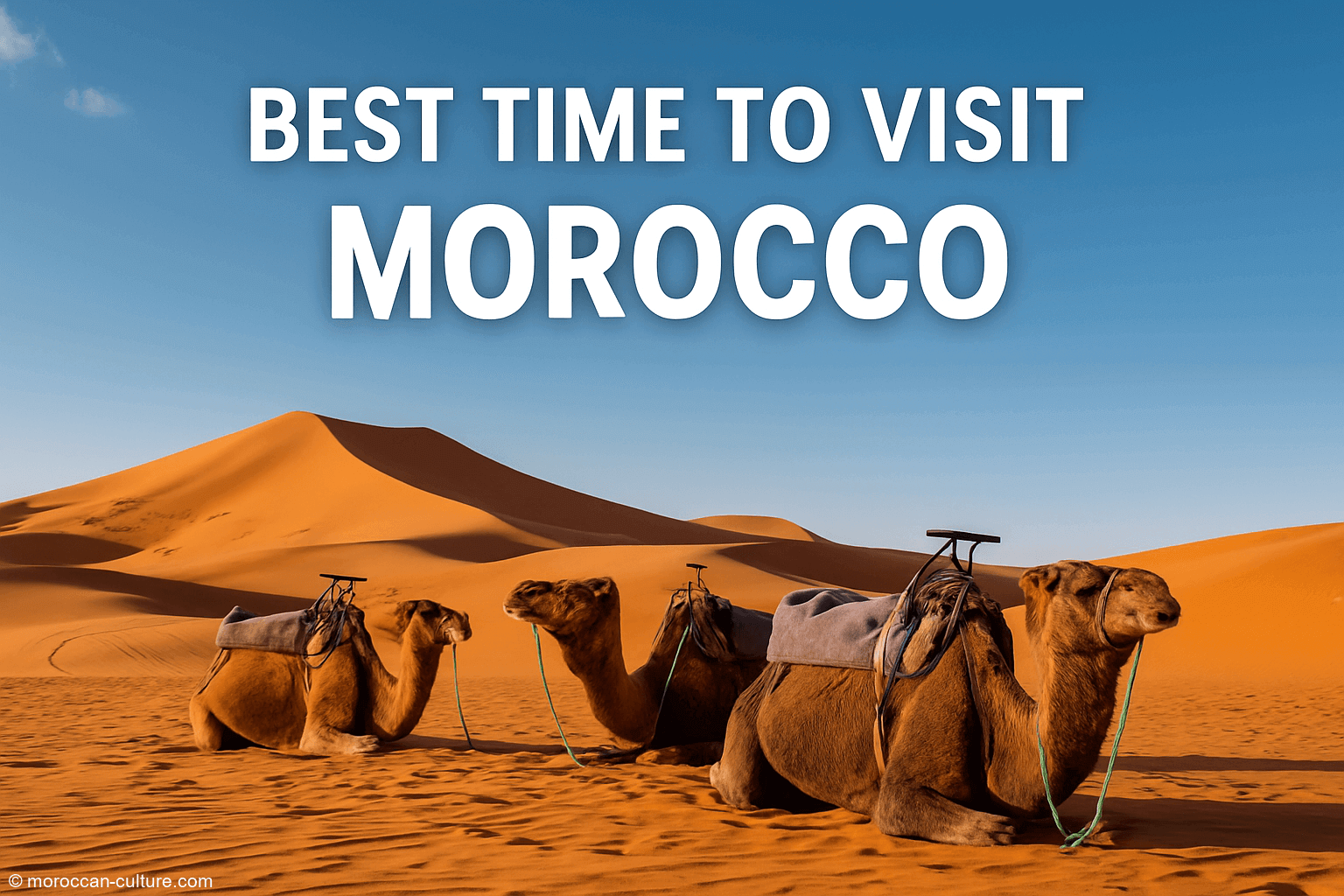 Best Time to Visit Morocco: Weather by Season and Region