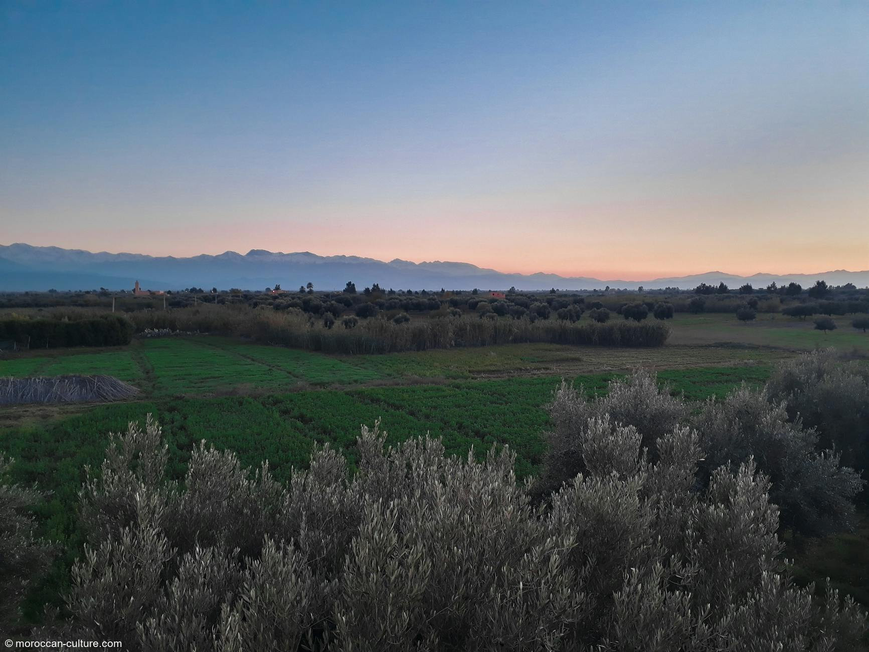 Marrakech 3-Day Itinerary and Neighborhood Travel Guide