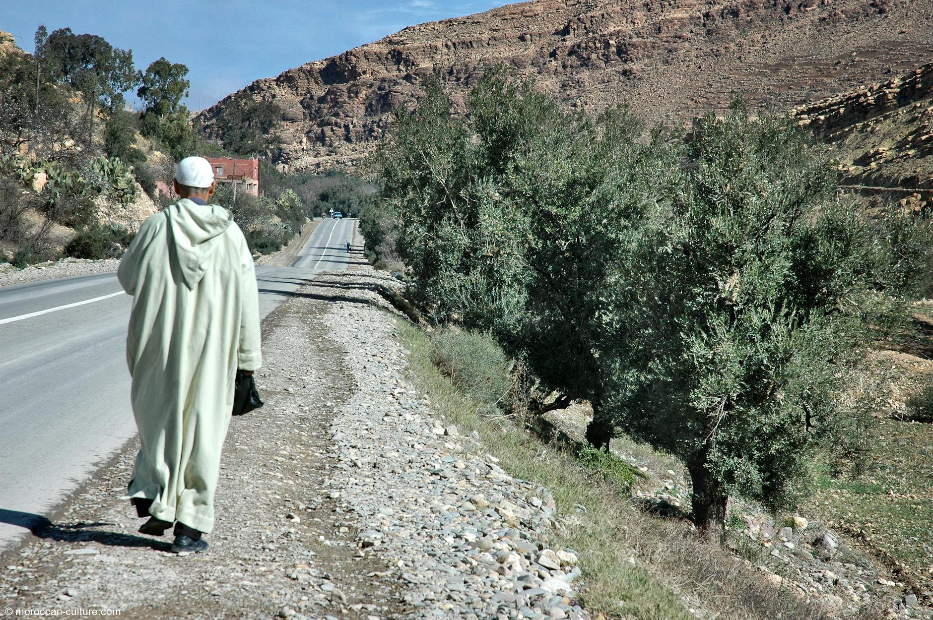 Discover Agadir: A Guide to Morocco’s Coastal Gem