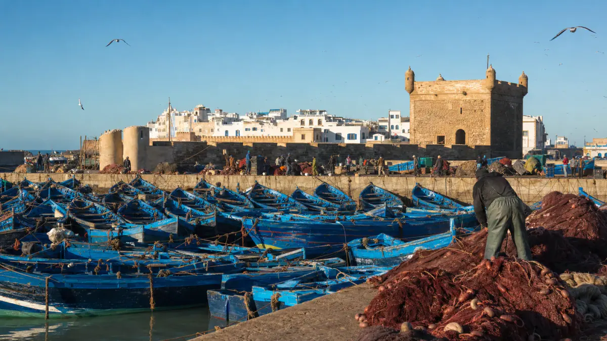 Essaouira blue fishing boats, port gate and medina on a clear morning